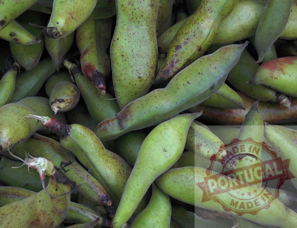 Fresh broad beans creating a green food background | Organic fava beans harvested, lying together as a natural texture - Realized with Pictrs.com