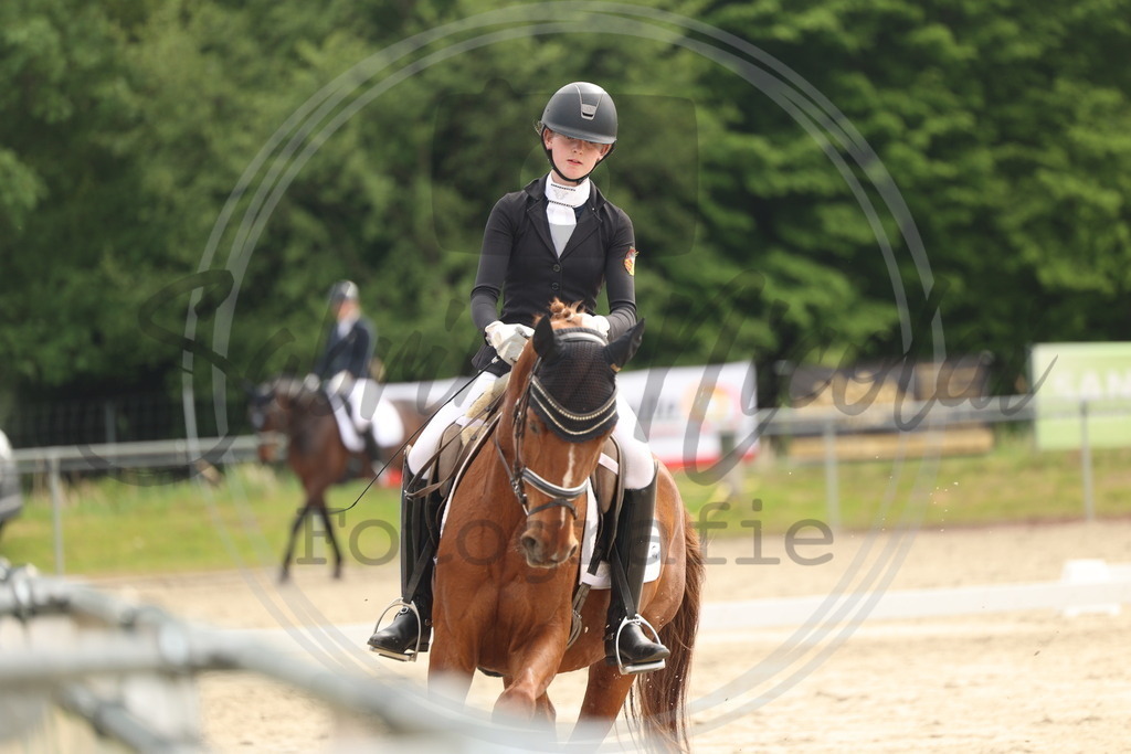 994A6272 | sabrinanicolaifotografie - Realisiert mit Pictrs.com