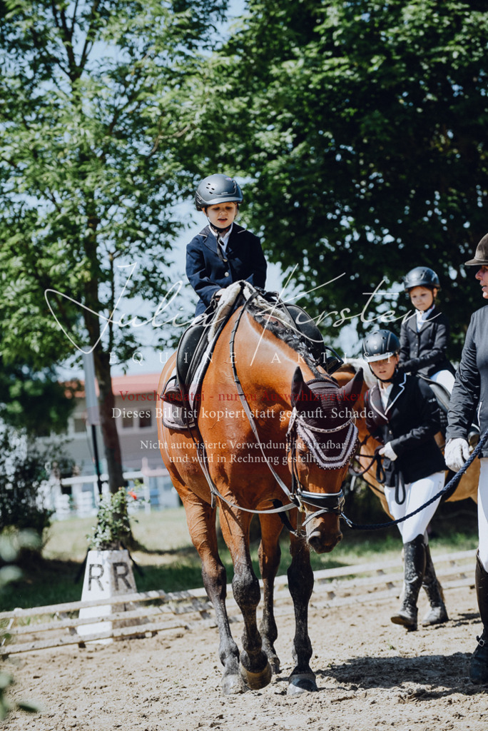 DSC_2502 | Pferde- und Turnierfotografie in Westsachsen. Pferdeportraits, Auftragszeichnungen und intuitive Kunst.