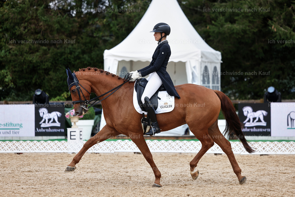 12-220-DRESSUR  S___  -StoibPH-5313 | working equitationturnier fotograf videograf stoibphotography marixx film working equitation deutschland reitsport turnierfotografie eventfotografie equestrian events