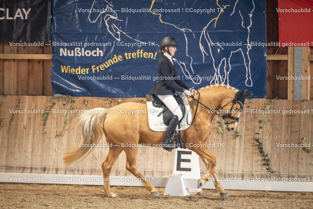 _D5A1262 | Emotionale Pferde- & People-Fotografie rund um Heidelberg, Leimen & Umgebung. Natürliche Fotos von Pferd, Mensch & Familie. Jetzt Termin sichern!