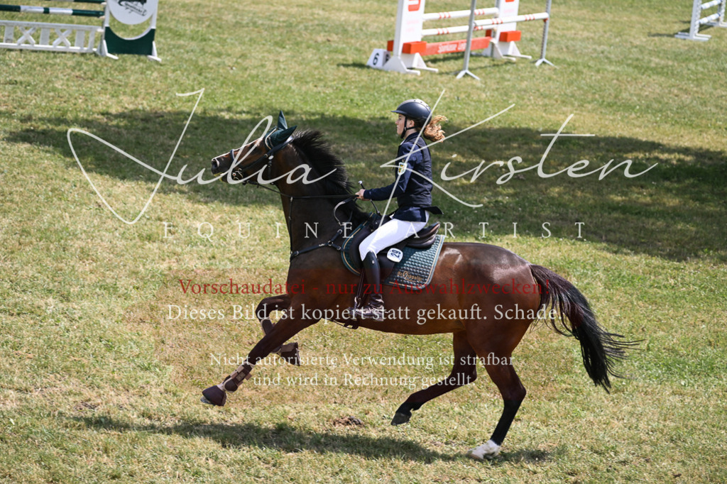 DSC_9721 | Pferde- und Turnierfotografie in Westsachsen. Pferdeportraits, Auftragszeichnungen und intuitive Kunst.