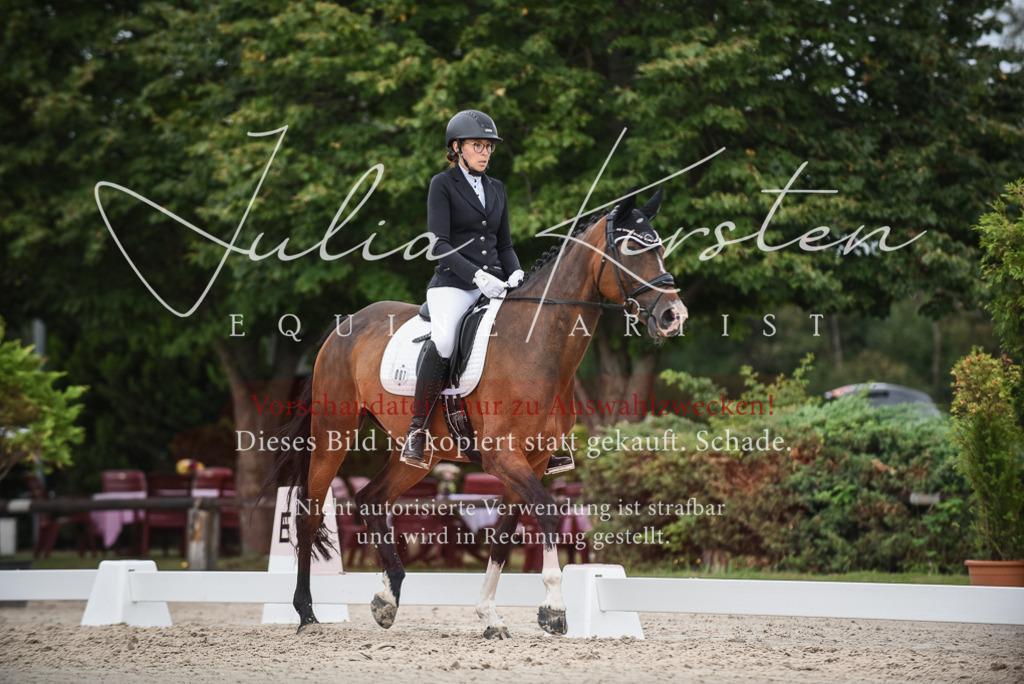 DSC_8548 | Pferde- und Turnierfotografie in Westsachsen. Pferdeportraits, Auftragszeichnungen und intuitive Kunst.