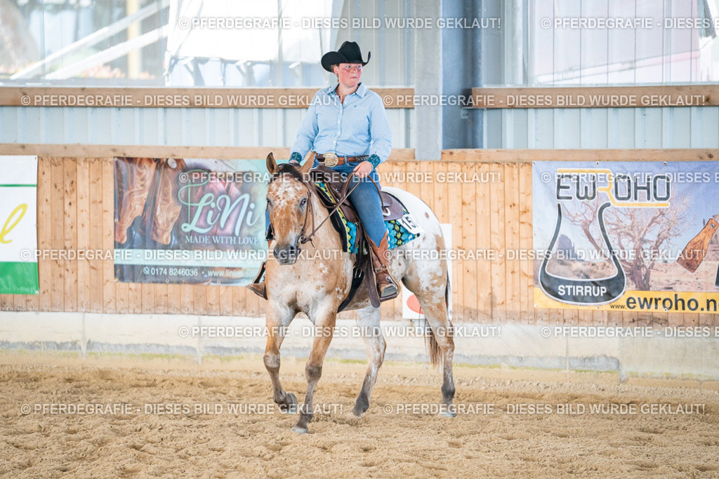 DSC03652 | Pferdegrafie