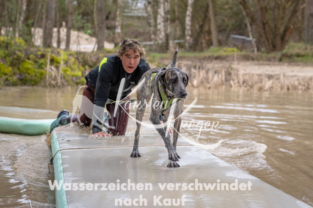 0939_ZZ90964-Bearbeitet | kk-dogfotos