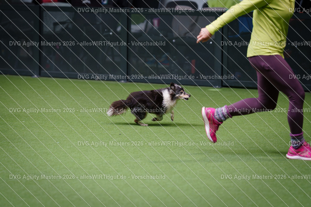 allesWIRTHgut_Tierfotografie-DVG_Agility_Masters_2026-12_34-7R508684 | Professionelle Tierfotografie in Mönchengladbach von Daniel Wirth (allesWIRTHgut). Liebevolle & natürliche Bilder von Hunden & Katzen für unvergessliche Erinnerungen.