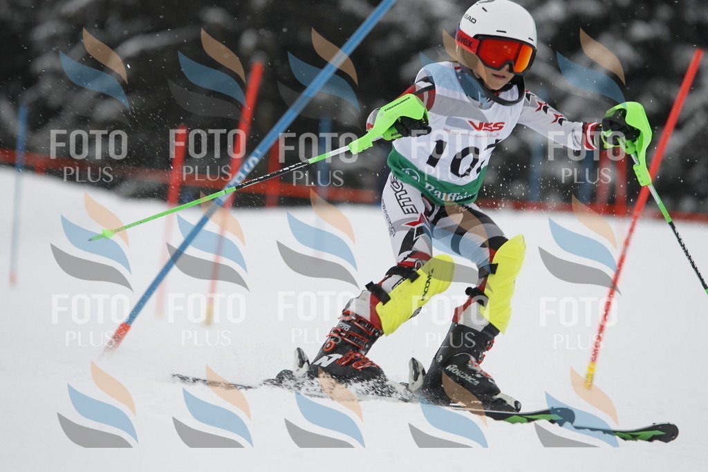 A1550 | holidayphoto