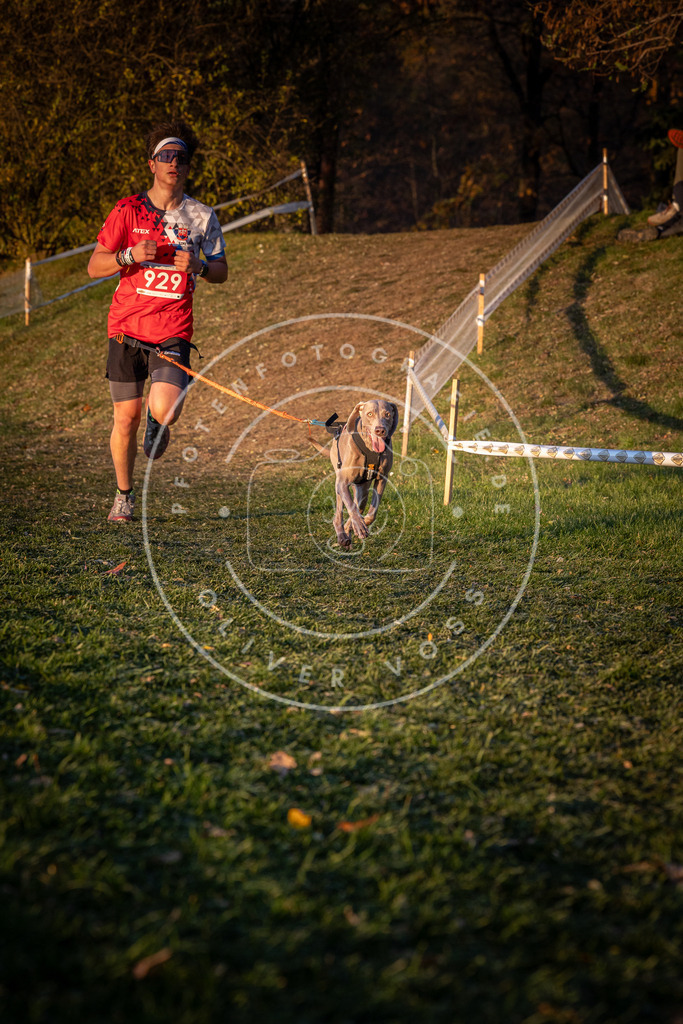 CaniXpix_0L8A1720 | Hundefotografie, Tierfotograf, Pfotenfotografie, Fotoshooting Hund, Hunde Portrait, Hundesport, Hundeportraits, Heideshooting, Hunde, Sportfotograf, Hundefotograf, Turnierhundsport, THS,  - Realisiert mit Pictrs.com