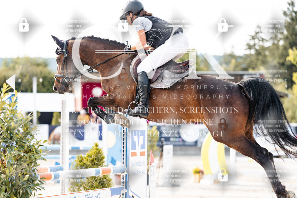 CK906312 | Turnierfotografie Pferdefotografie Trier Rheinland-Pfalz Pferdesport Reitsport Tierfotografie Sportfotografie Pferdevideo Pferdevideografie Equestrianvideography equestrianphotography  - Realisiert mit Pictrs.com