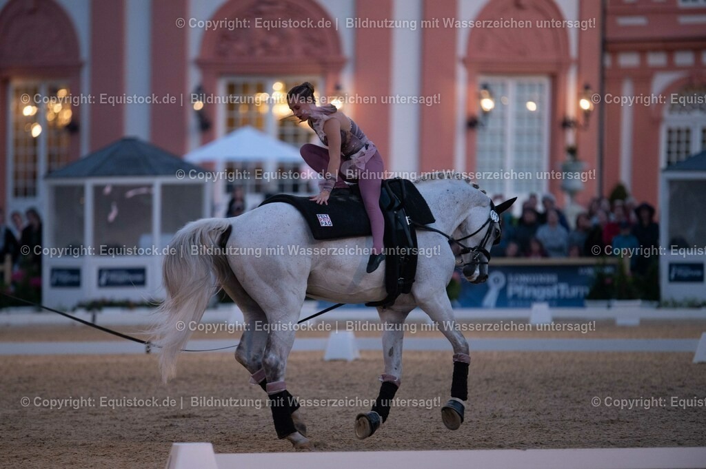 20230527_Voltigieren_NASPA_Flutlicht_0350 | equistock
