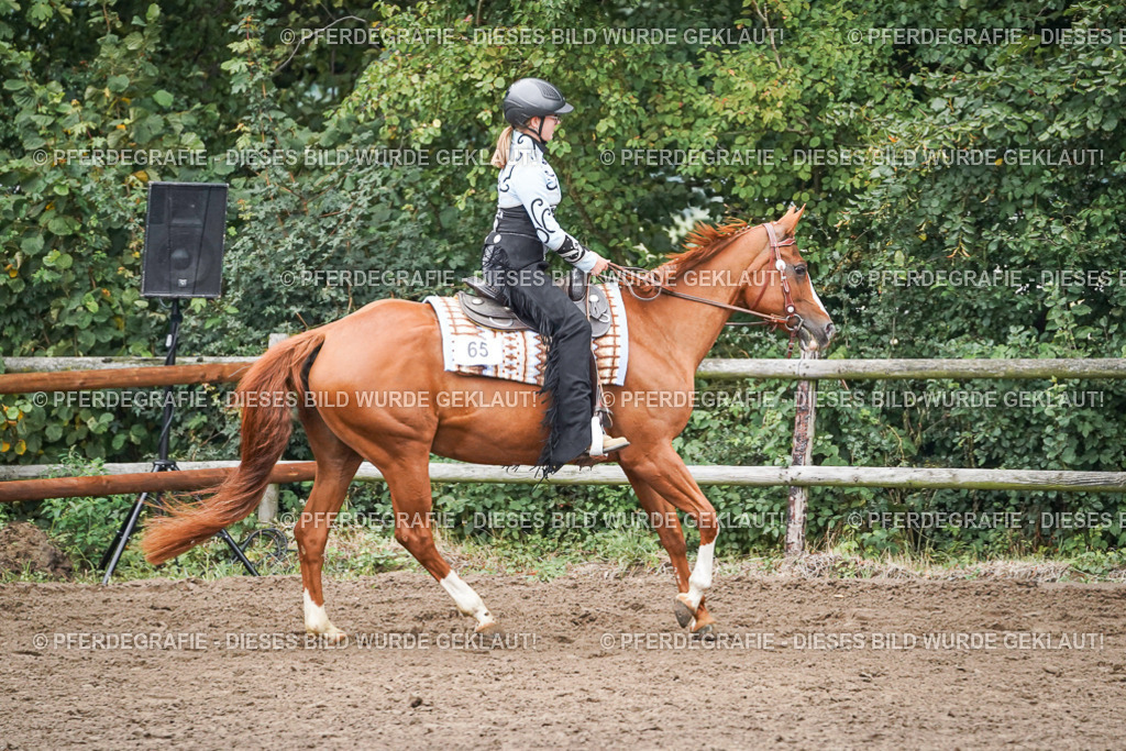 DSC01979 | Pferdegrafie