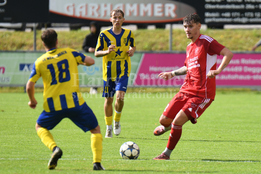 TSV Seebach : SV Wenzenbach | Luis Müller-Eckstein (TSV Seebach #12) mit seinem ersten Pflichtspieltor - Realisiert mit Pictrs.com