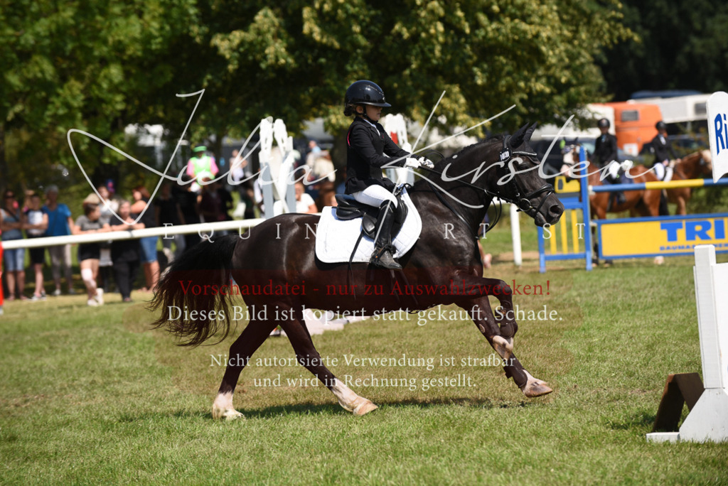 DSC_9982 | Pferde- und Turnierfotografie in Westsachsen. Pferdeportraits, Auftragszeichnungen und intuitive Kunst.