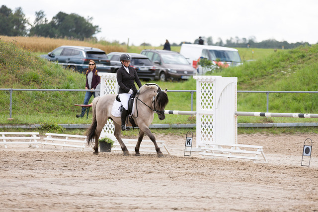 IMG_9030 | normansfotografie - Realisiert mit Pictrs.com