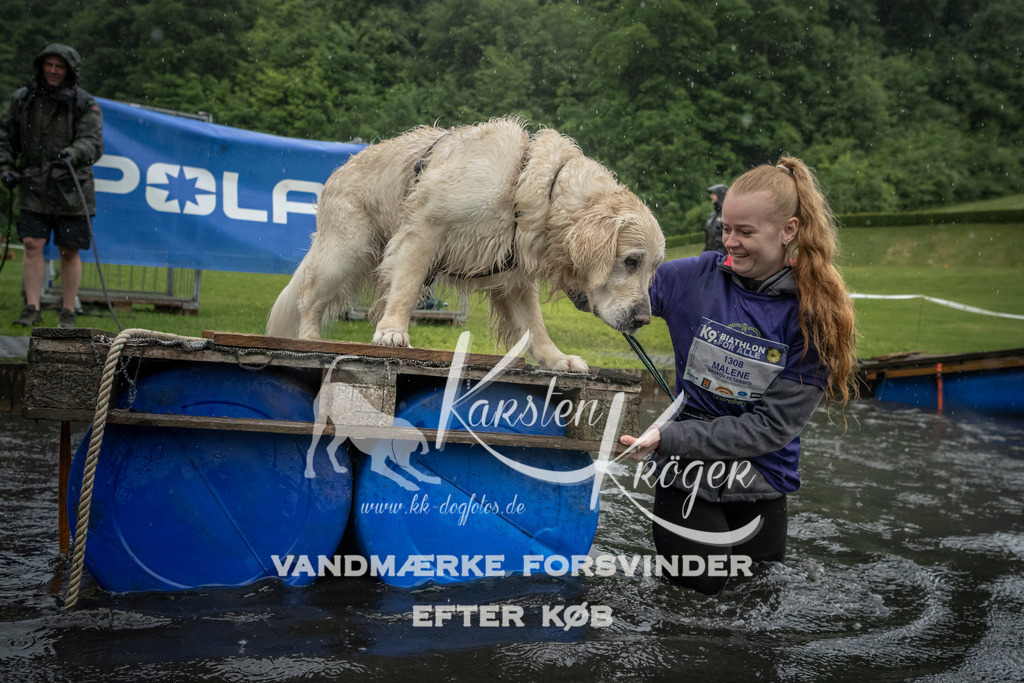1328_ZZ98645 | kk-dogfotos