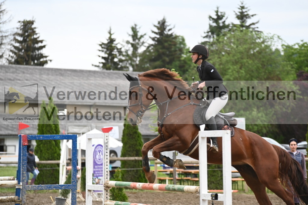 DSC_1748 | equestrian-live-com