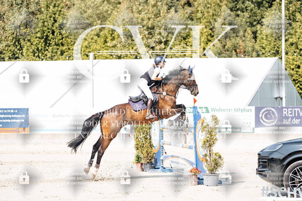 CK901638 | Turnierfotografie Pferdefotografie Trier Rheinland-Pfalz Pferdesport Reitsport Tierfotografie Sportfotografie Pferdevideo Pferdevideografie Equestrianvideography equestrianphotography  - Realisiert mit Pictrs.com