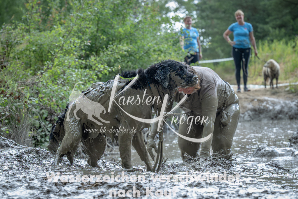 1412_ZZ91710-Verbessert-RR | kk-dogfotos