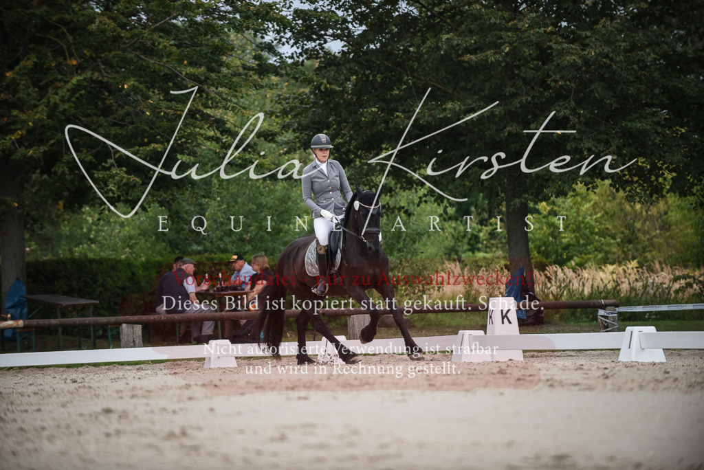 DSC_8313 | Pferde- und Turnierfotografie in Westsachsen. Pferdeportraits, Auftragszeichnungen und intuitive Kunst.