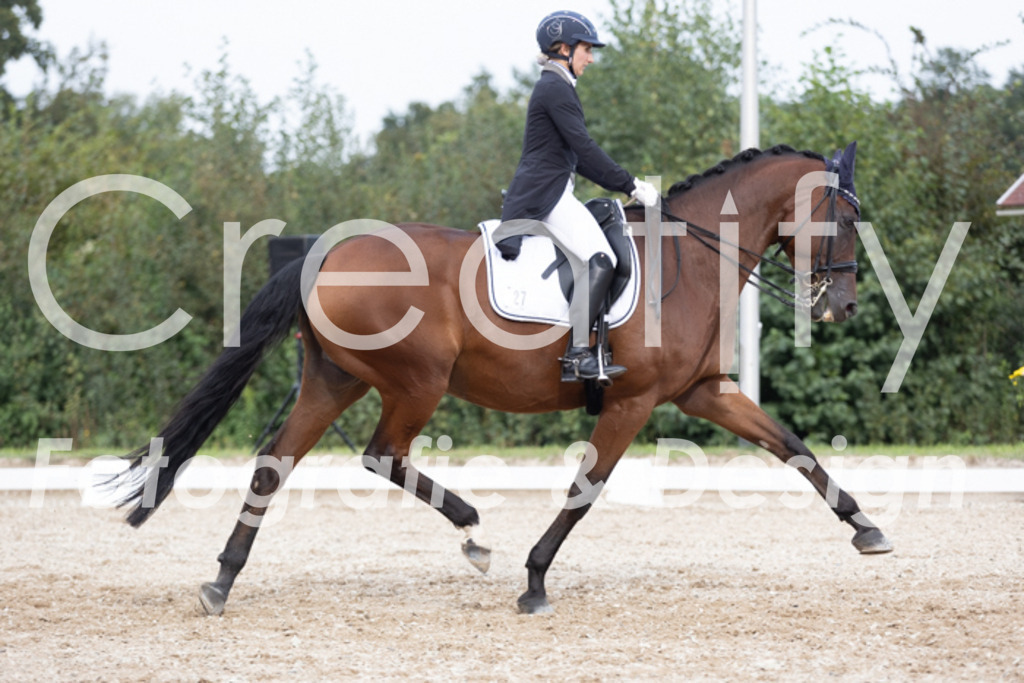 IMG_5123 | Creatify Fotografie