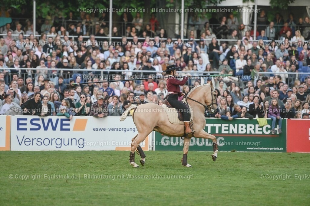 20230526_Pferdenacht_0789 | equistock