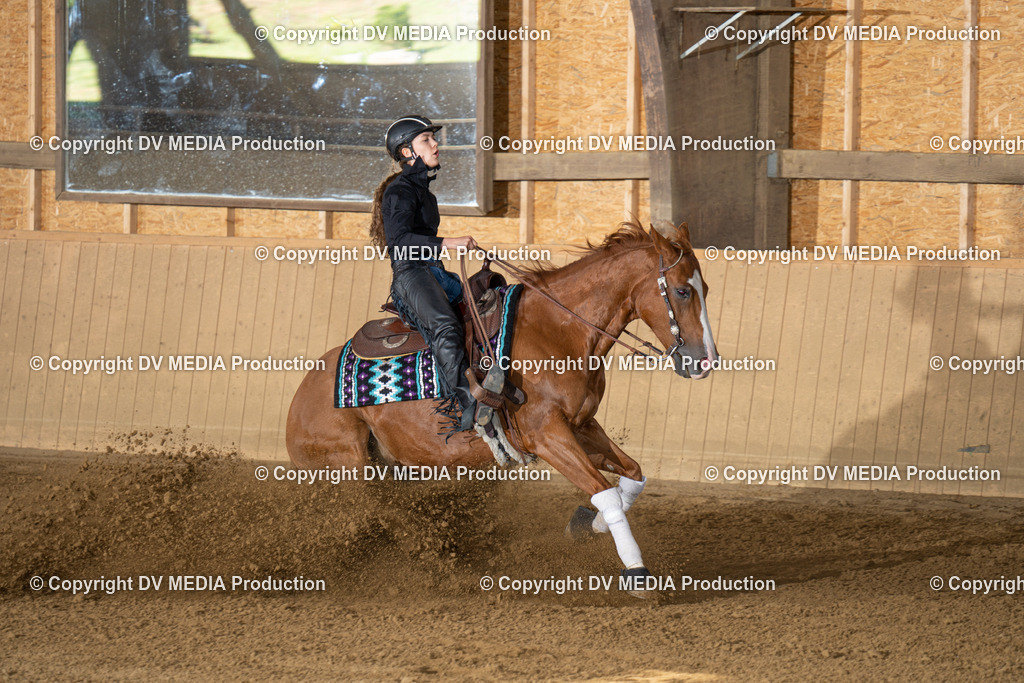 DSC00033 | dv-media-shop - Realisiert mit Pictrs.com