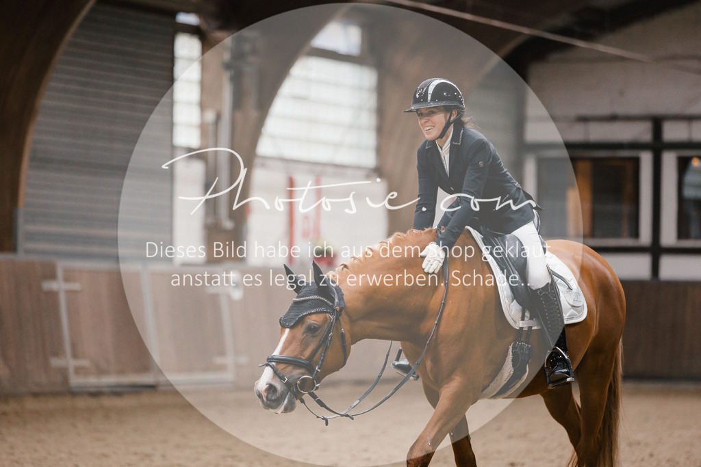 3I6A6491 | Stimmungsvolle Portraits und Reitsportfotografie im Ruhrgebiet und im Münsterland.

Pferdefotografie, Hundefotografie, Tierfotografie, Reportagen, Portraits von Tier und Mensch, Turnierfotografie in Bochum, Recklinghausen, Marl, Haltern am See, Dülmen.. - Realisiert mit Pictrs.com