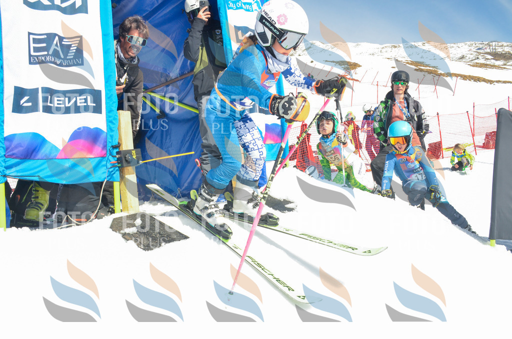 _ELE6068 | holidayphoto