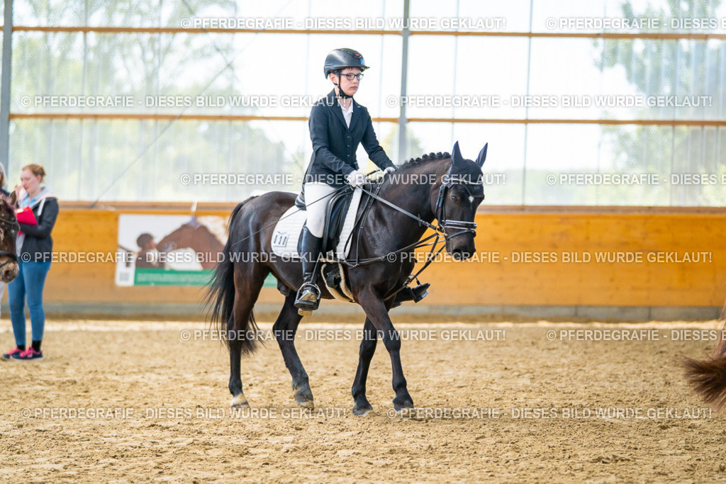 DSC01324 | Pferdegrafie