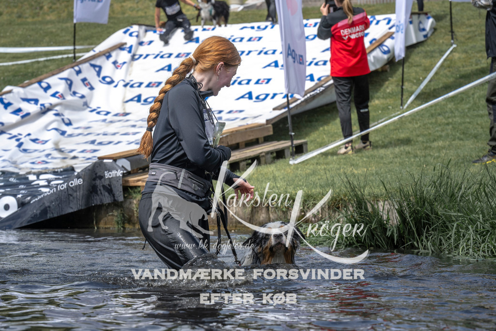 1207_ZZ95600 | kk-dogfotos