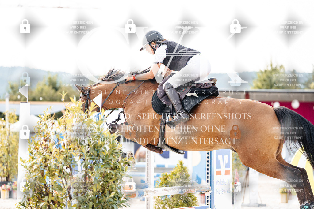 CK906841 | Turnierfotografie Pferdefotografie Trier Rheinland-Pfalz Pferdesport Reitsport Tierfotografie Sportfotografie Pferdevideo Pferdevideografie Equestrianvideography equestrianphotography  - Realisiert mit Pictrs.com