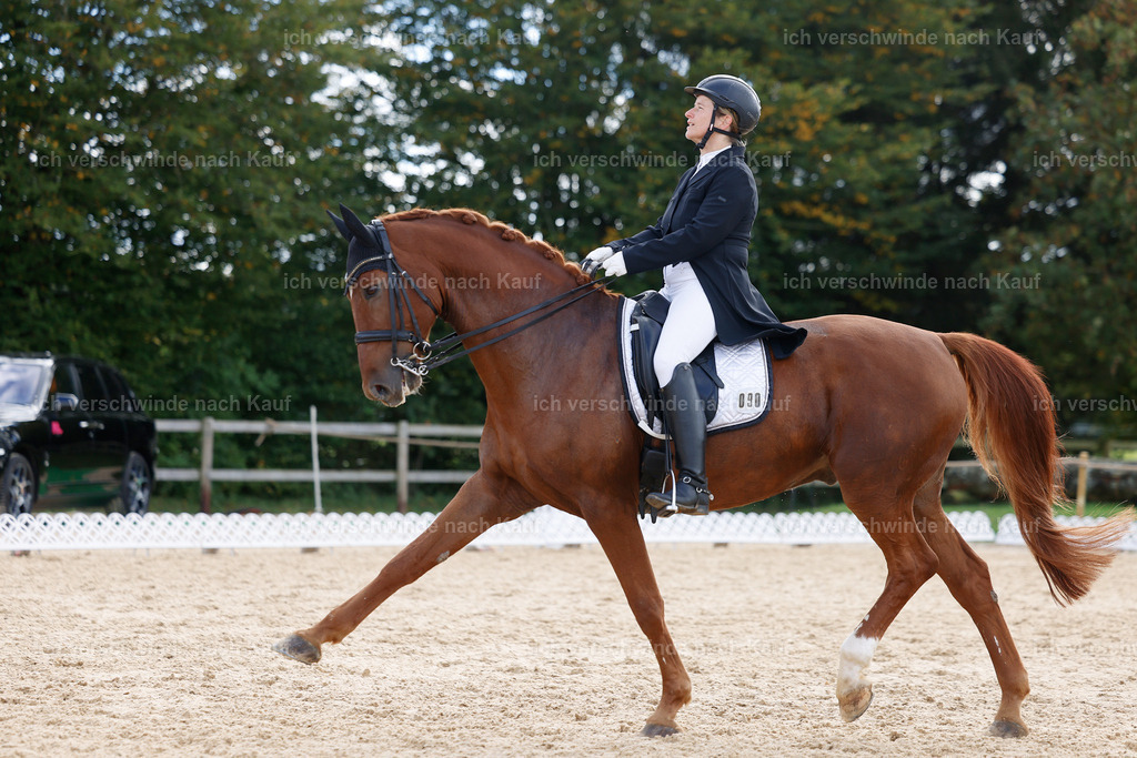 09_2-090-DRESSUR  S_  -StoibPH-5838 | working equitationturnier fotograf videograf stoibphotography marixx film working equitation deutschland reitsport turnierfotografie eventfotografie equestrian events