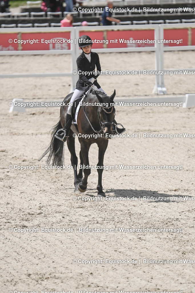 20250516_CCI2_Dressur_0211 | Foto: Thomas Hartig