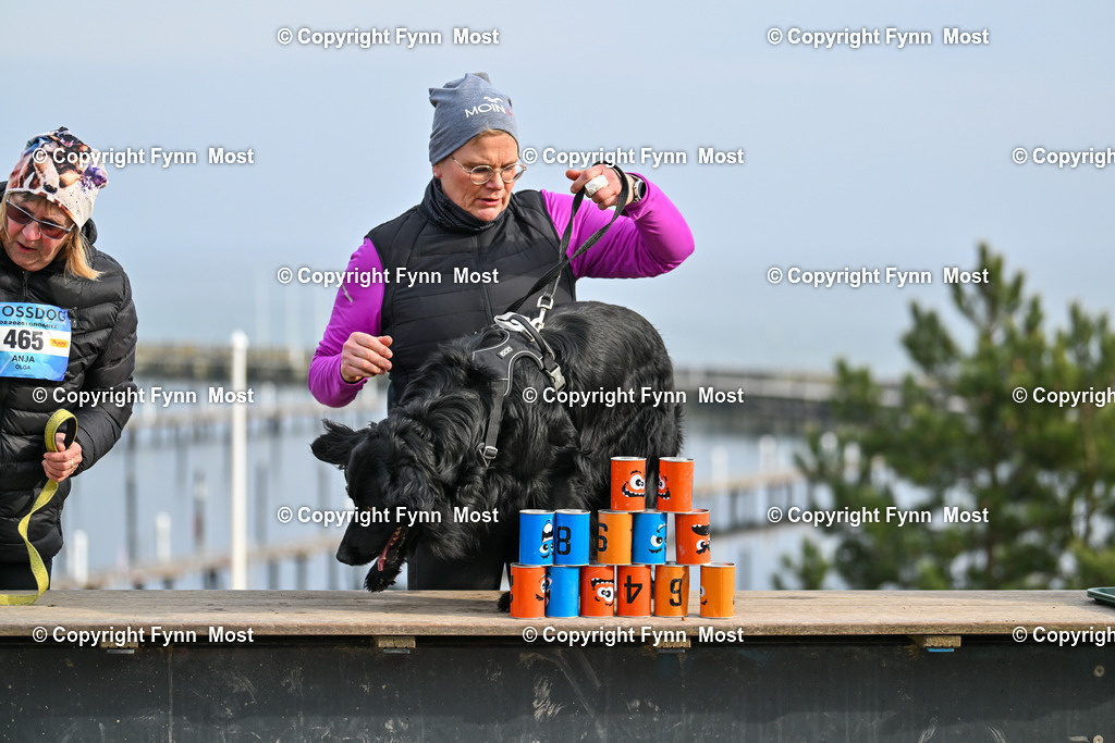 DSC_6628 | Hallo und herzlich Willkommen auf meiner Shop-Seite Fynn Most.

Ich wünsche Dir viel Spaß beim stöbern durch die Bilder, wenn Du Fragen hast oder Bilder vermisst, kannst du mir gerne eine Nachricht schreiben. - Realisiert mit Pictrs.com