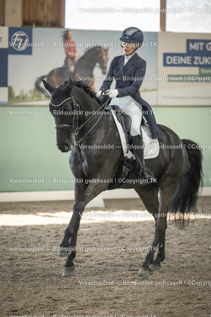 _D5A1162 | Emotionale Pferde- & People-Fotografie rund um Heidelberg, Leimen & Umgebung. Natürliche Fotos von Pferd, Mensch & Familie. Jetzt Termin sichern!