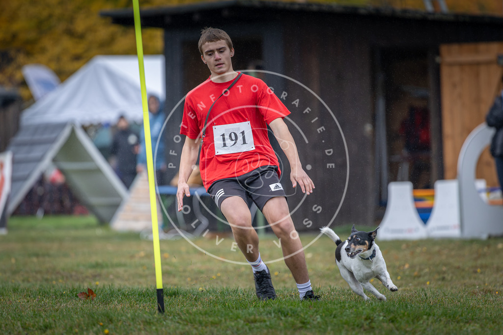 Pfotenfotografie_DV3A9911 | Hundefotografie, Tierfotograf, Pfotenfotografie, Fotoshooting Hund, Hunde Portrait, Hundesport, Hundeportraits, Heideshooting, Hunde, Sportfotograf, Hundefotograf, Turnierhundsport, THS,  - Realisiert mit Pictrs.com