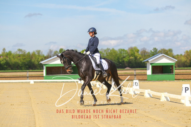 DKP43009 | Turniersportfotografie; Pferdefotografie; Dressurfotografie