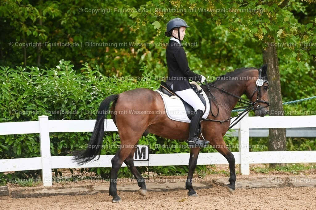 20230716_10-2_Reiter-WB Schritt - Trab - Galopp_0095 | equistock