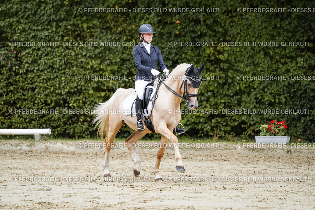 DSC08916 | Pferdegrafie