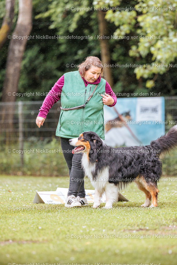 RO-Blumenthal-2026-Nickbest-Hundefotografie-0473 | Dein Hund! Dein Moment! Deine Erinnerungen! Hundefotografie in Bremen Blumenthal. Ich fange die besonderen Momente deines Vierbeiners ein – ob Indoor mit Blitzanlage oder in der freien Natur. Sicher dir dein Moment und dein Termin für eure Erinnerungen.