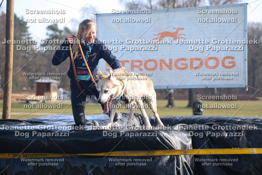 Dog Paparazzi - Strongdog North Mrz26-1089 | Dog Paparazzi Jeanette Grottendiek Fotografie & Videografie - Realisiert mit Pictrs.com