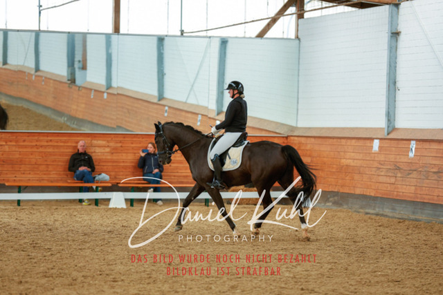 _62_6254 | Turniersportfotografie; Pferdefotografie; Dressurfotografie