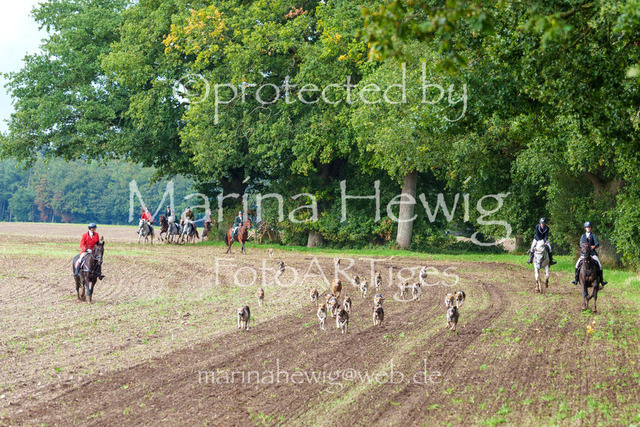 Jagd Perdoel 26 Sony-04006_MarinaHewig | Fotografie, FotoArt, PferdesportArt, Pferdesportfotografie, Landschaftsfotografie, Reisefotografie, Reise, Pferde - Realisiert mit Pictrs.com