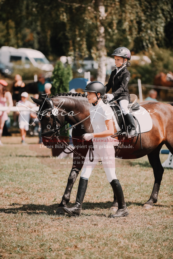 DSC_6087 | Pferde- und Turnierfotografie in Westsachsen. Pferdeportraits, Auftragszeichnungen und intuitive Kunst.