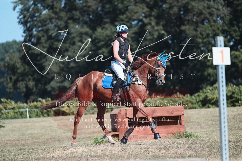 DSC_8721 | Pferde- und Turnierfotografie in Westsachsen. Pferdeportraits, Auftragszeichnungen und intuitive Kunst.