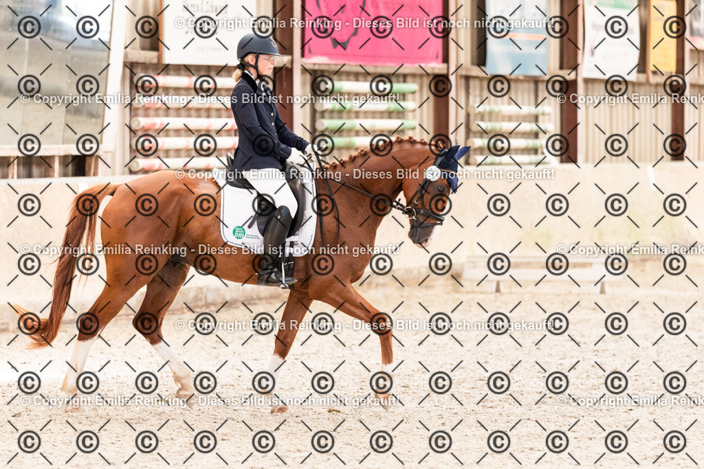 CL5A6392 | Emilia Reinking Fotografie - Realisiert mit Pictrs.com