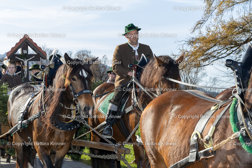 LBT24-1488 | foto-bettina-krinner - Realisiert mit Pictrs.com