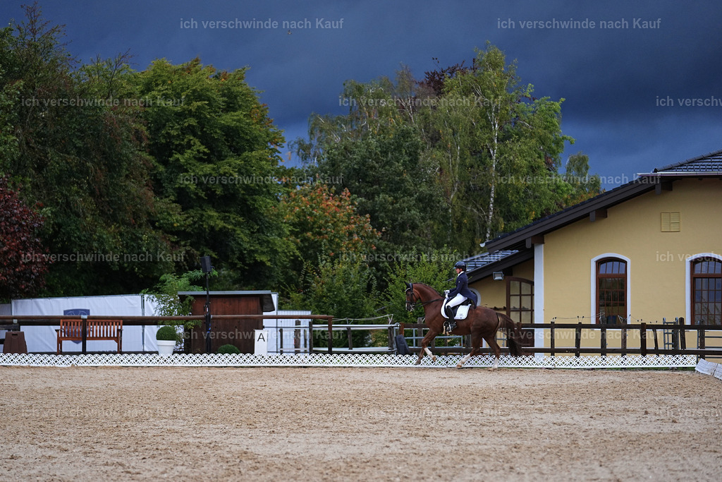 8_2-195-DRESSUR S_  -Marixx-4633 | working equitationturnier fotograf videograf stoibphotography marixx film working equitation deutschland reitsport turnierfotografie eventfotografie equestrian events