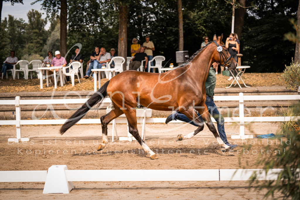 6.Fr00098 | Leoni Ertmer Photography - Realisiert mit Pictrs.com
