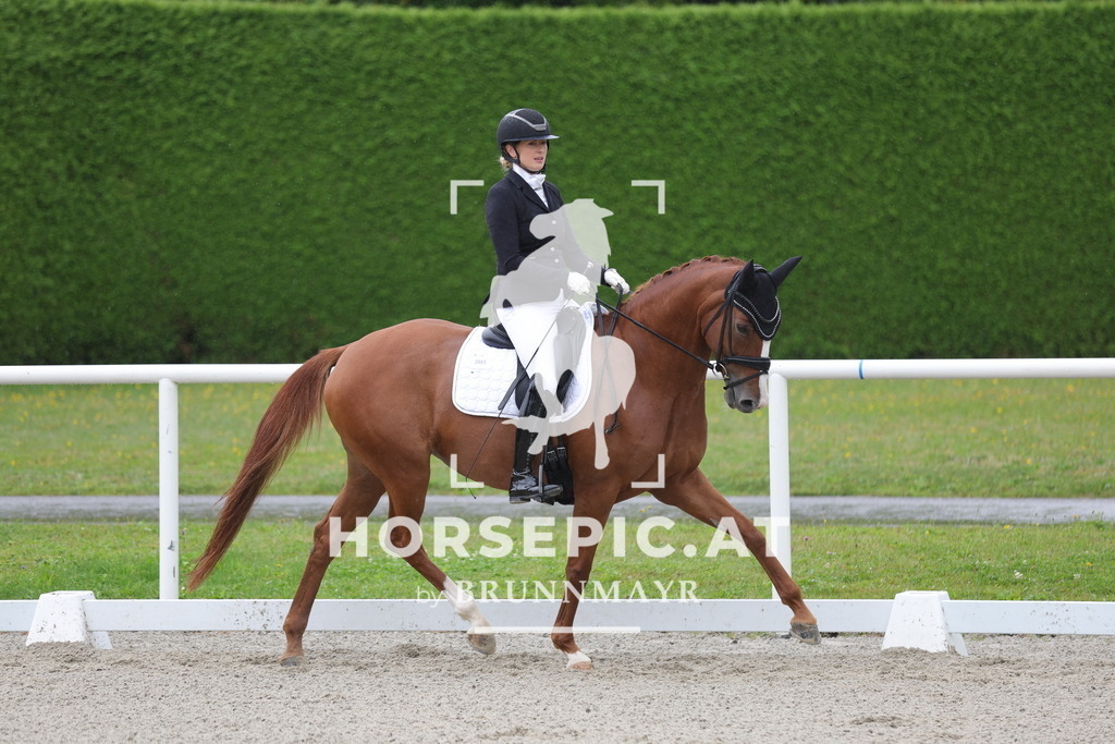 0P6A0096 | Willkommen bei Brunnmayr - Design & Fotografie – Ihrem Spezialisten für Reitturniere und Pferdeveranstaltungen in Oberösterreich, Salzburg und Bayern! Seit über 17 Jahren sind wir leidenschaftlich dabei.